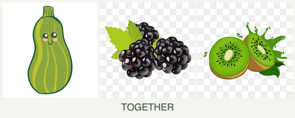 Can you plant zucchini, blackberries and kiwi together?