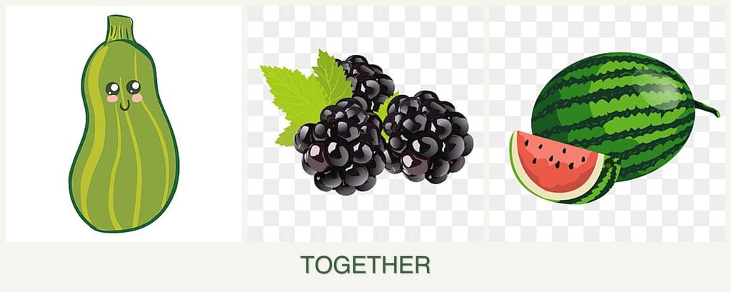 Can you plant zucchini, blackberries and melons together?