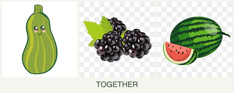 Can you plant zucchini, blackberries and melons together?