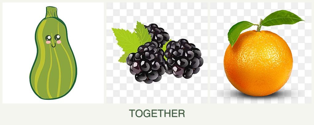 Can you plant zucchini, blackberries and oranges together?