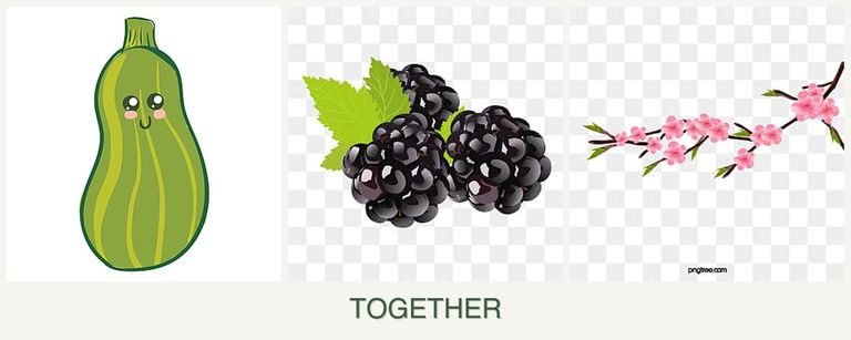 Can you plant zucchini, blackberries and peaches together?