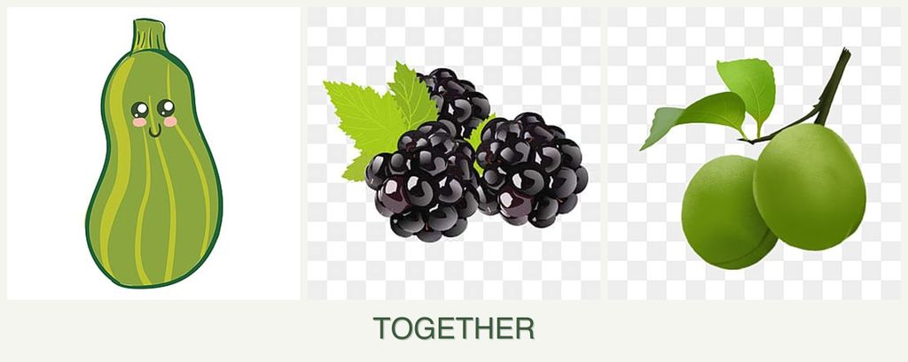 Can you plant zucchini, blackberries and plums together?