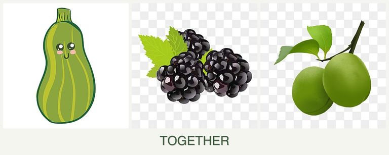 Can you plant zucchini, blackberries and plums together?