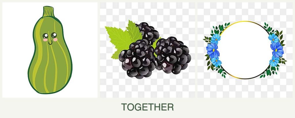 Can you plant zucchini, blackberries and zinnias together?