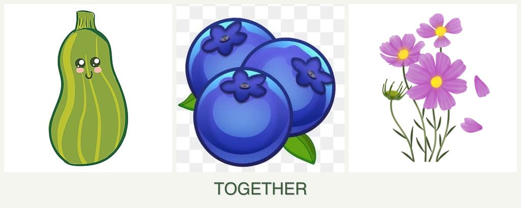 Can you plant zucchini, blueberries and cosmos together?