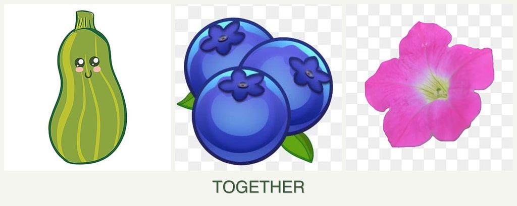 Can you plant zucchini, blueberries and petunias together?