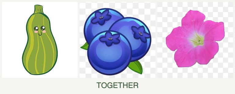 Can you plant zucchini, blueberries and petunias together?