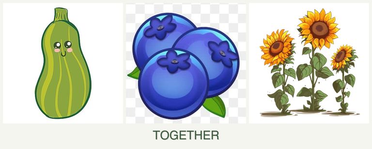 Can you plant zucchini, blueberries and sunflowers together?