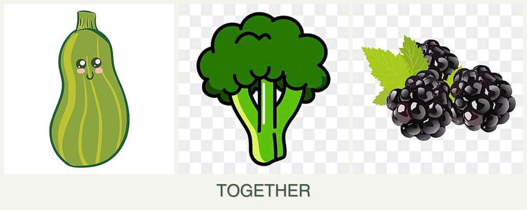 Can you plant zucchini, broccoli and blackberries together?