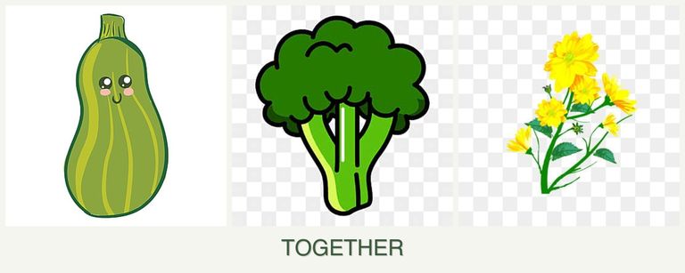 Can you plant zucchini, broccoli and calendula together?