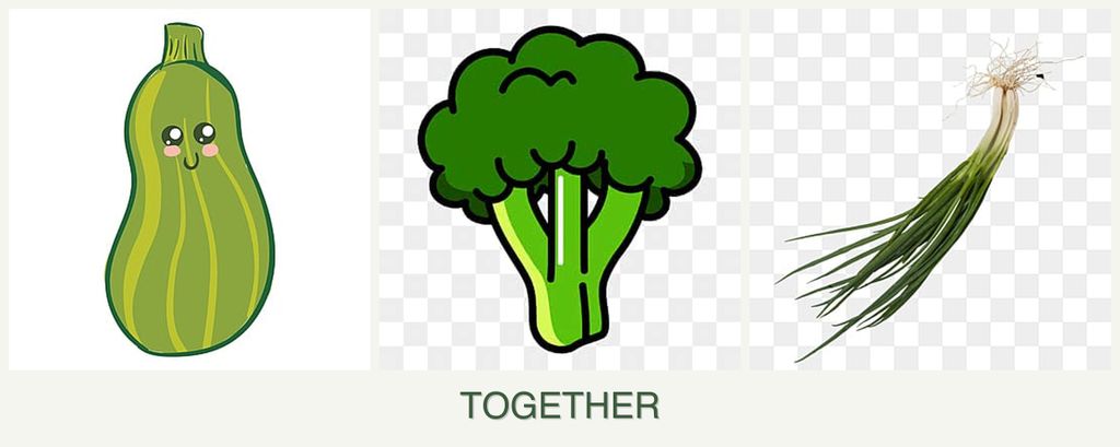Can you plant zucchini, broccoli and chives together?