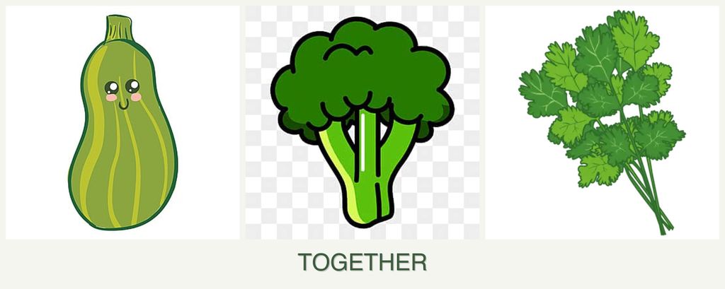 Can you plant zucchini, broccoli and cilantro together?