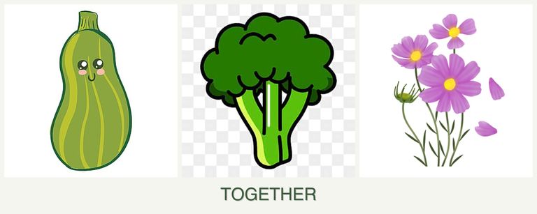 Can you plant zucchini, broccoli and cosmos together?