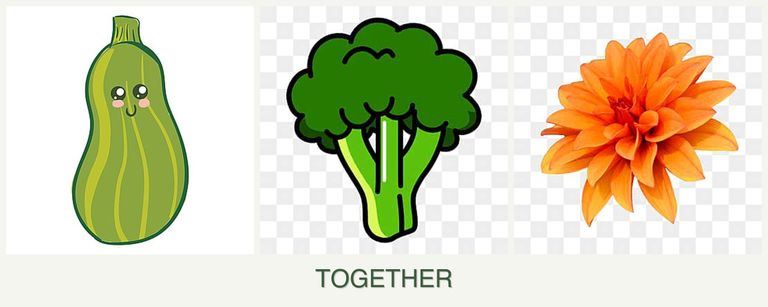 Can you plant zucchini, broccoli and dahlias together?