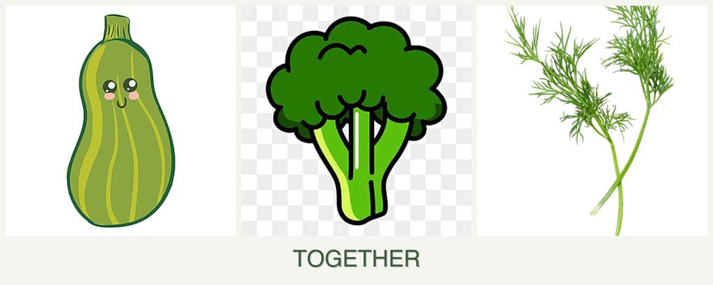 Can you plant zucchini, broccoli and dill together?