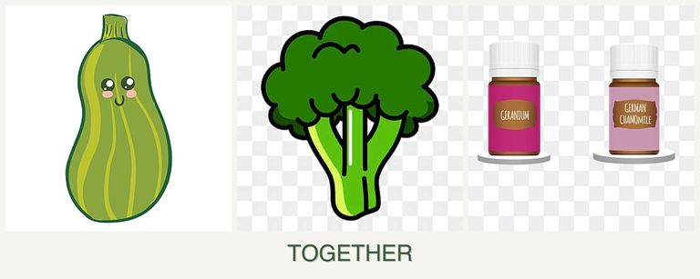 Can you plant zucchini, broccoli and geraniums together?