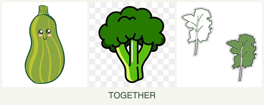 Can you plant zucchini, broccoli and kale together?