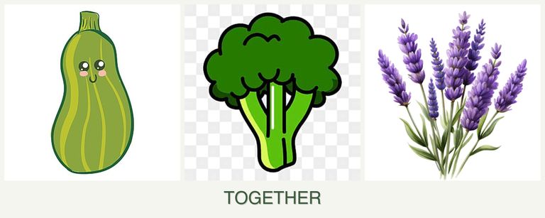 Can you plant zucchini, broccoli and lavender together?