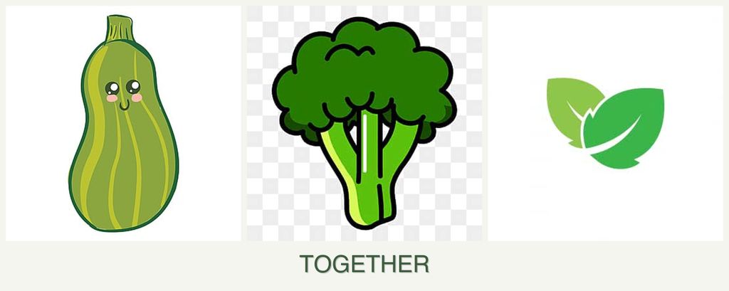 Can you plant zucchini, broccoli and mint together?