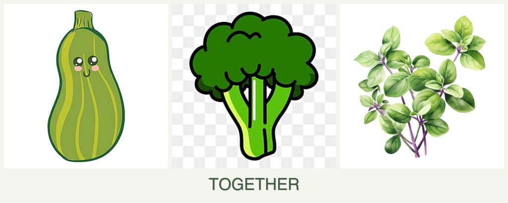 Can you plant zucchini, broccoli and oregano together?