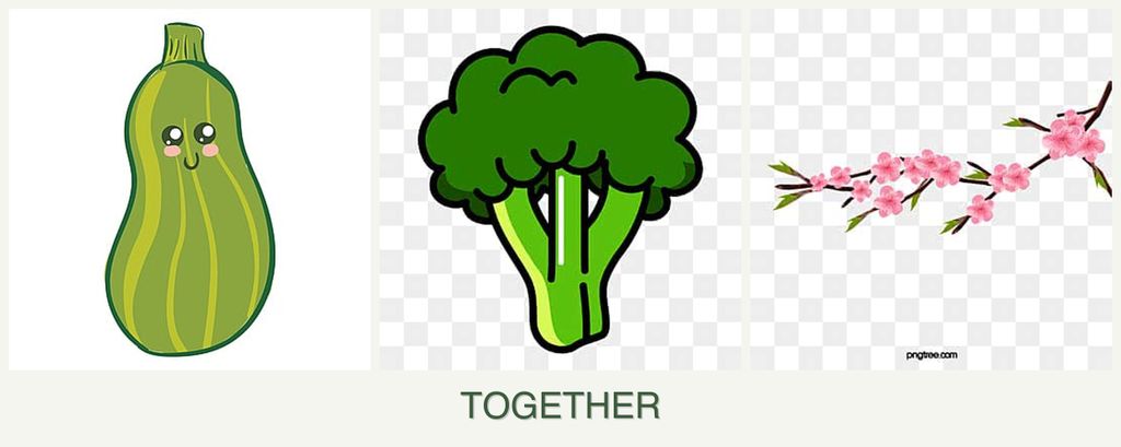 Can you plant zucchini, broccoli and peaches together?
