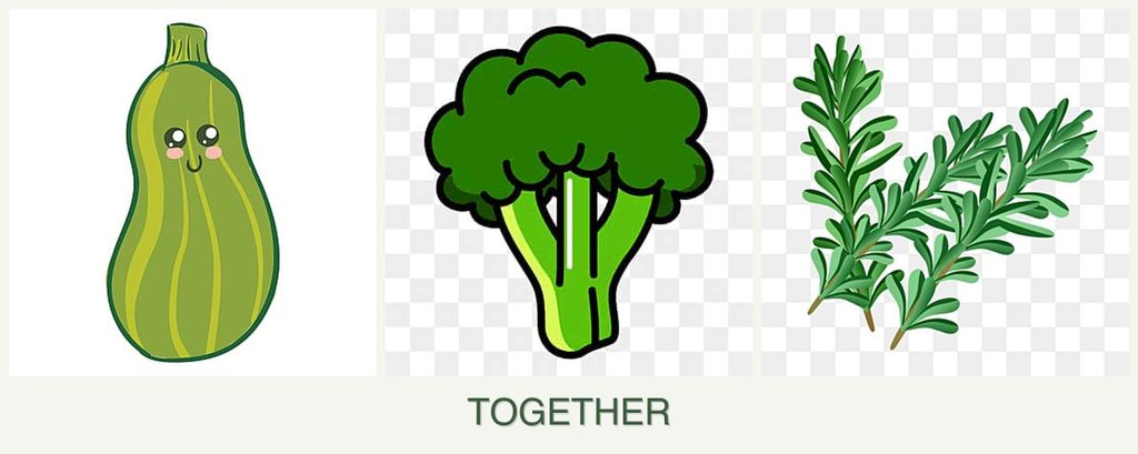 Can you plant zucchini, broccoli and rosemary together?