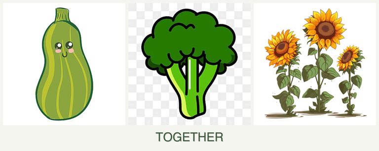 Can you plant zucchini, broccoli and sunflowers together?