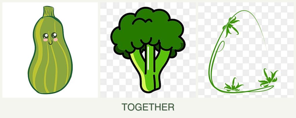 Can you plant zucchini, broccoli and tarragon together?