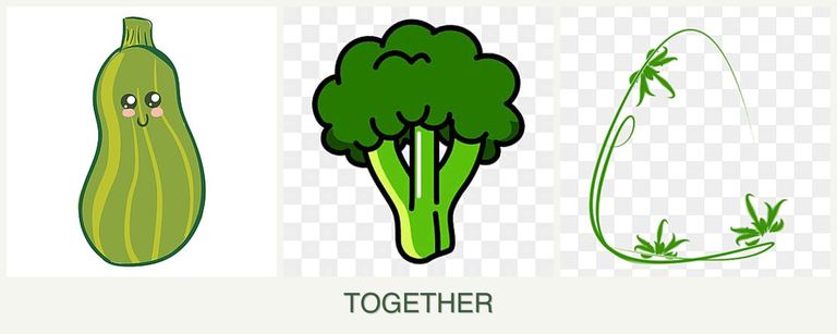 Can you plant zucchini, broccoli and tarragon together?