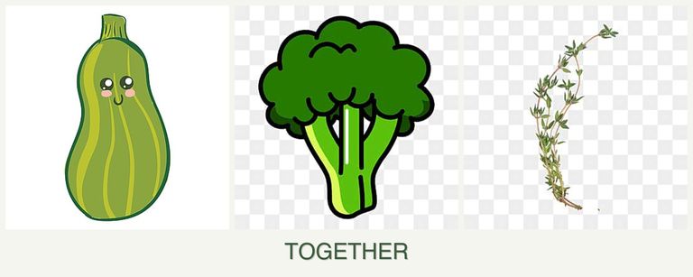 Can you plant zucchini, broccoli and thyme together?