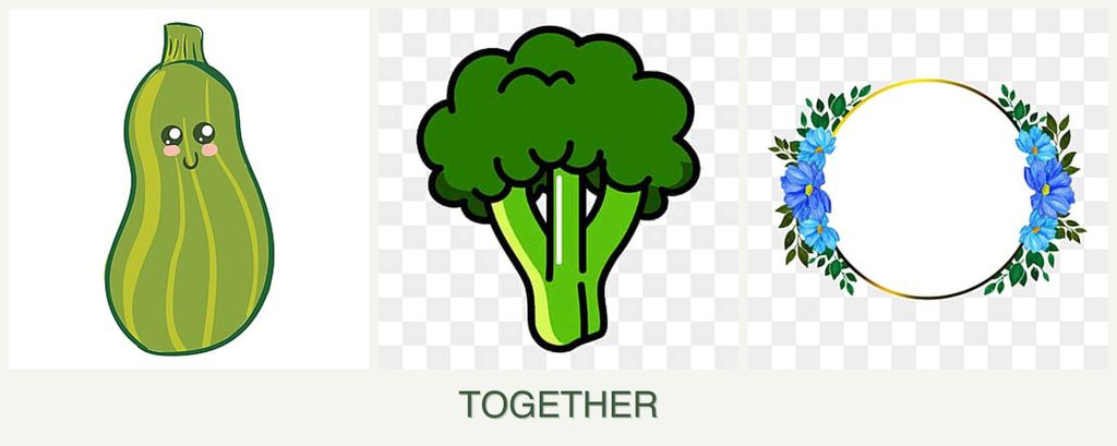 Can you plant zucchini, broccoli and zinnias together?