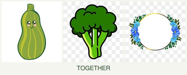 Can you plant zucchini, broccoli and zinnias together?