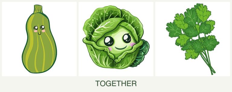 Can you plant zucchini, cabbage and cilantro together?