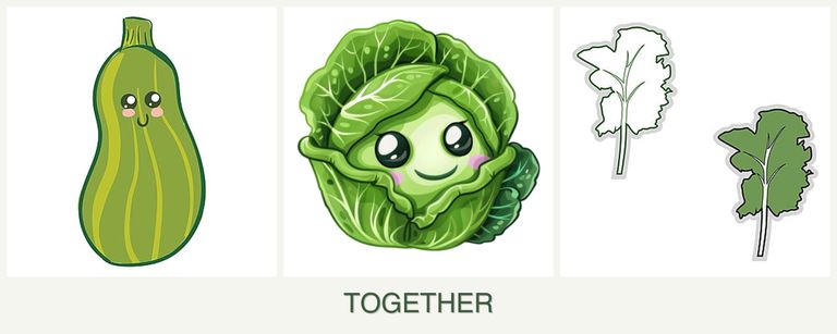 Can you plant zucchini, cabbage and kale together?