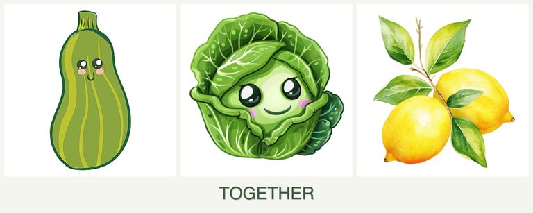 Can you plant zucchini, cabbage and lemons together?