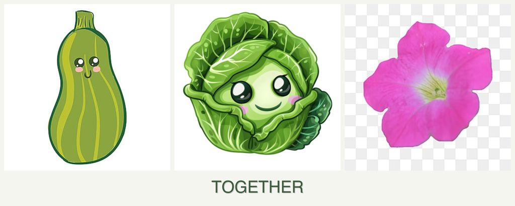 Can you plant zucchini, cabbage and petunias together?