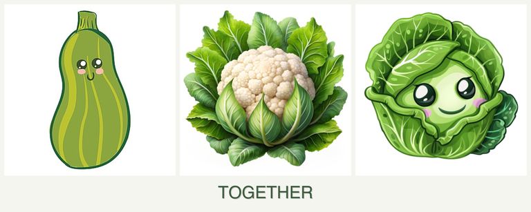 Can you plant zucchini, cauliflower and cabbage together?