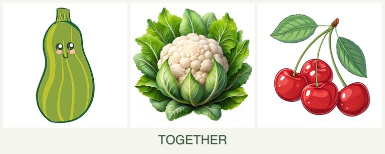 Can you plant zucchini, cauliflower and cherries together?
