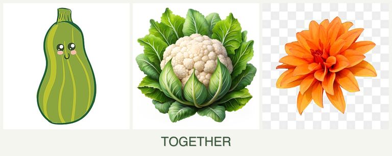 Can you plant zucchini, cauliflower and dahlias together?