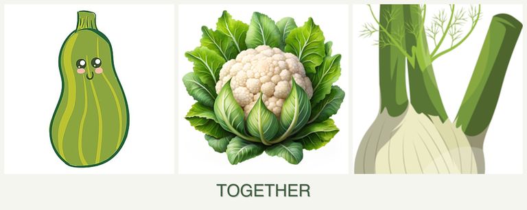 Can you plant zucchini, cauliflower and fennel together?