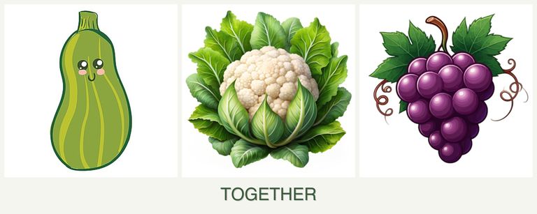 Can you plant zucchini, cauliflower and grapes together?