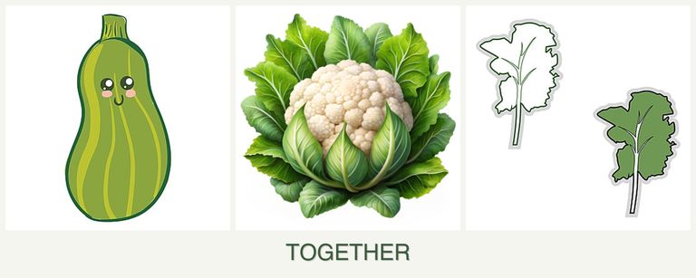 Can you plant zucchini, cauliflower and kale together?