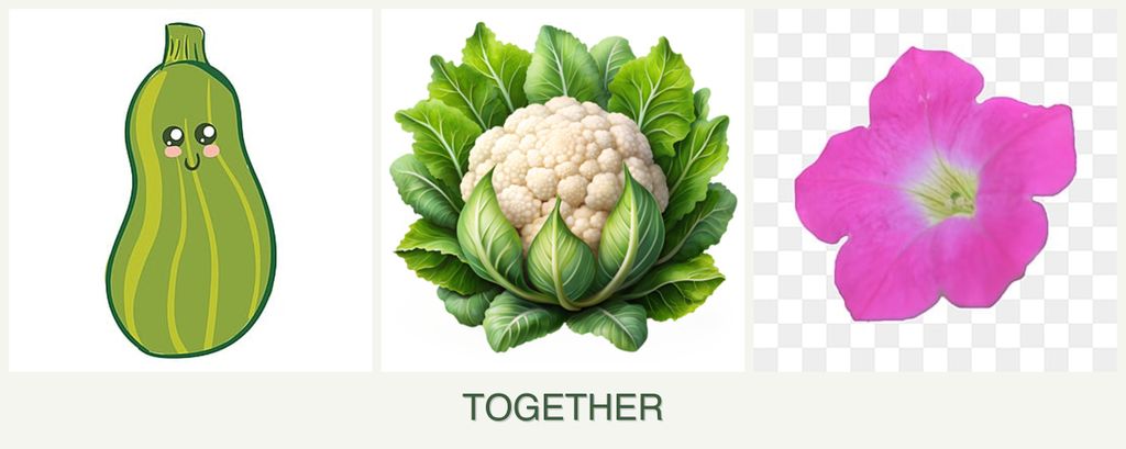 Can you plant zucchini, cauliflower and petunias together?