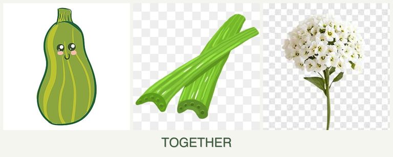 Can you plant zucchini, celery and alyssum together?