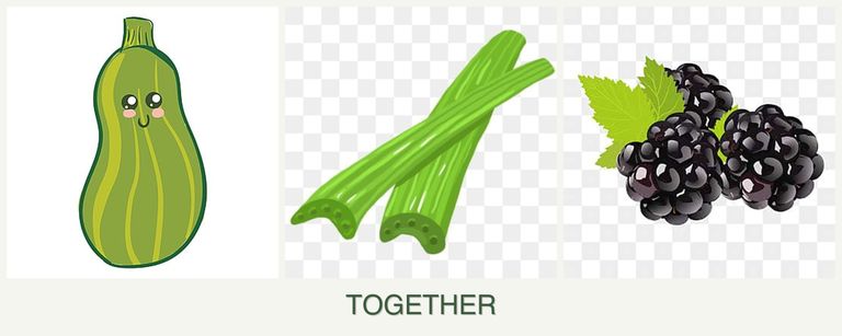 Can you plant zucchini, celery and blackberries together?