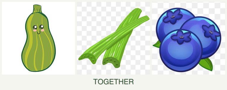 Can you plant zucchini, celery and blueberries together?