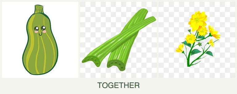 Can you plant zucchini, celery and calendula together?