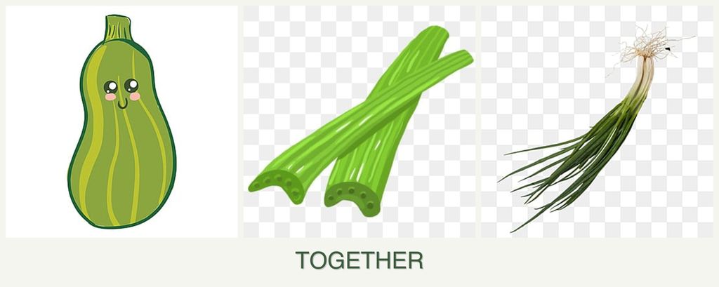 Can you plant zucchini, celery and chives together?