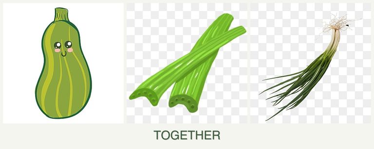 Can you plant zucchini, celery and chives together?