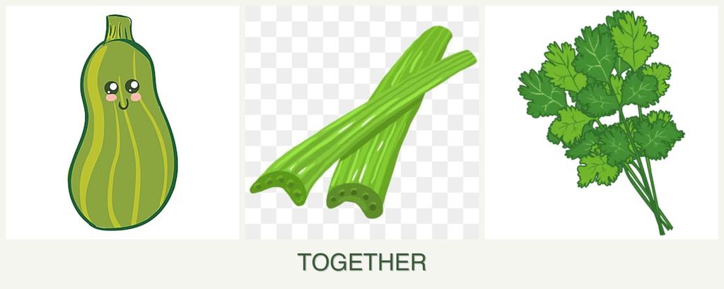 Can you plant zucchini, celery and cilantro together?